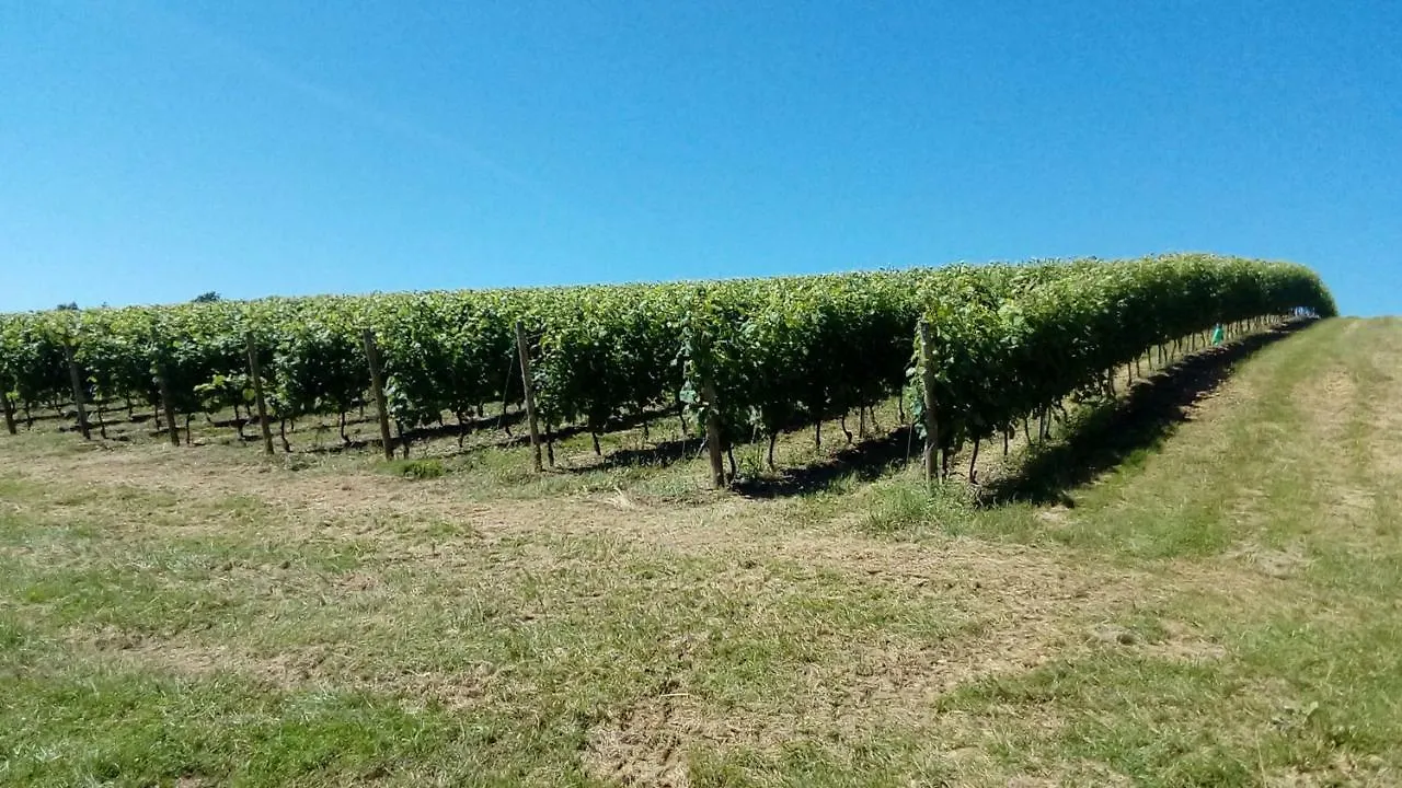 Holiday home Gite Les Pyreneales Dans Le Madiranais Lascazeres