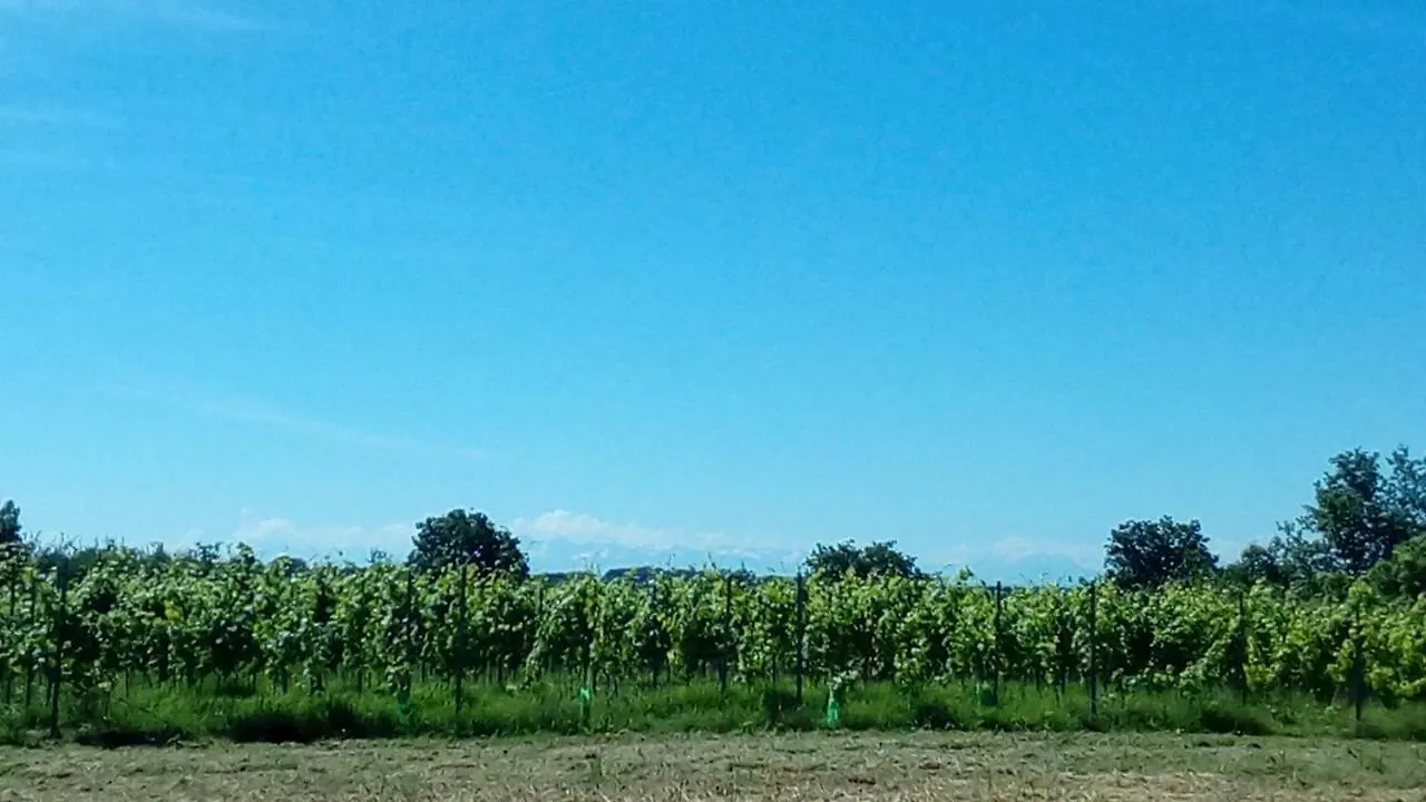 Gite Les Pyreneales Dans Le Madiranais Lascazeres 0*,